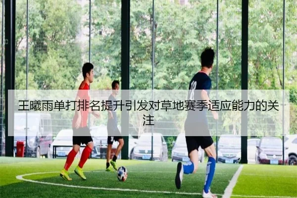 王曦雨单打排名提升引发对草地赛季适应能力的关注
